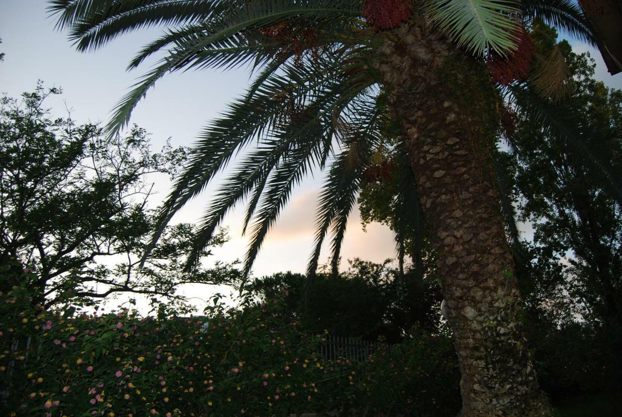 Roma Eur Bed & Breakfast Exterior foto
